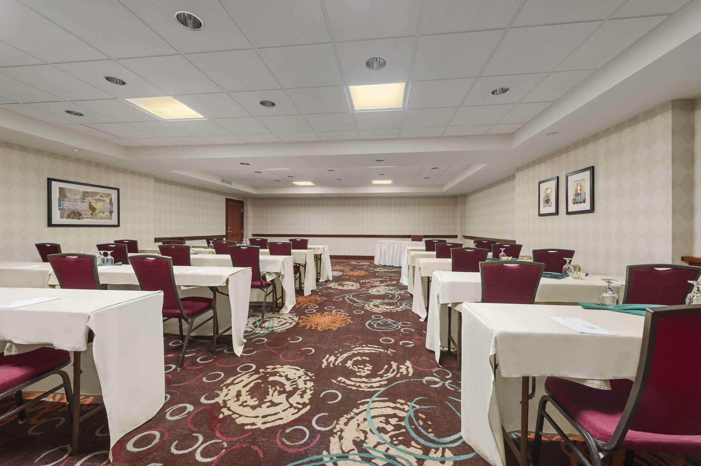 Embassy Suites Tampa - USF / Busch Gardens Business foto