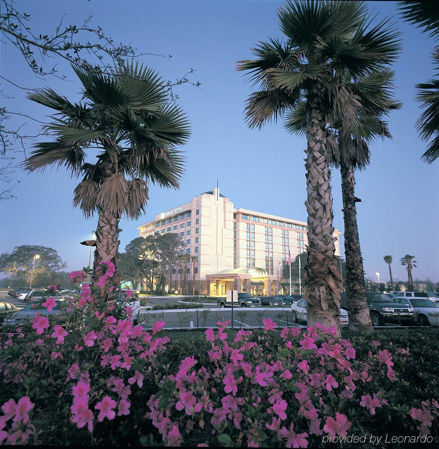 Embassy Suites Tampa - USF / Busch Gardens Exterior foto